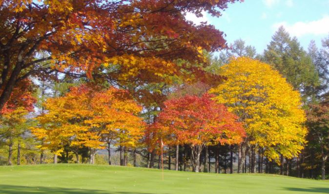 紅葉のゴルフ場
